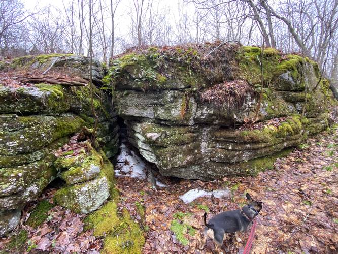 Jax at the old quarry