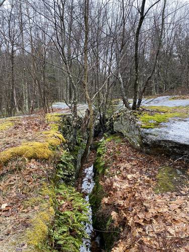 Picture 8 of Hessel Gessel quarry and millstone hike