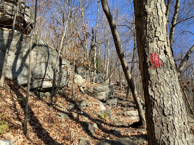 Hiking up the Lehigh Gorge along the red-blazed Overlook Trail