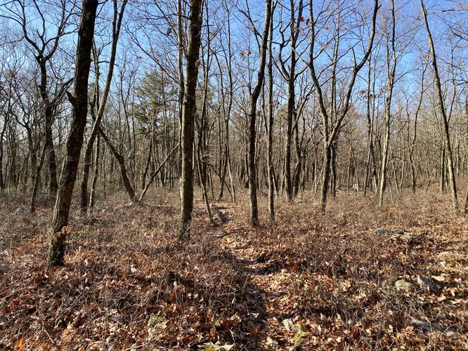 Flat trail runs the mountain top