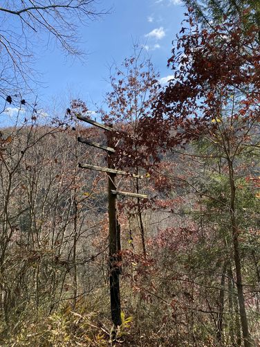 Old telephone pole likely used by the abandoned railroad