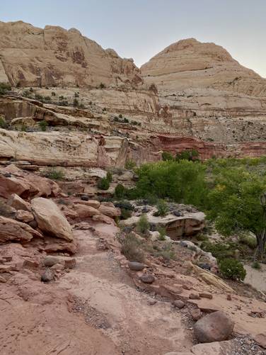 View of Capitol Reef's rock cliffs from the switchbacks of the Hickman Bridge Trail