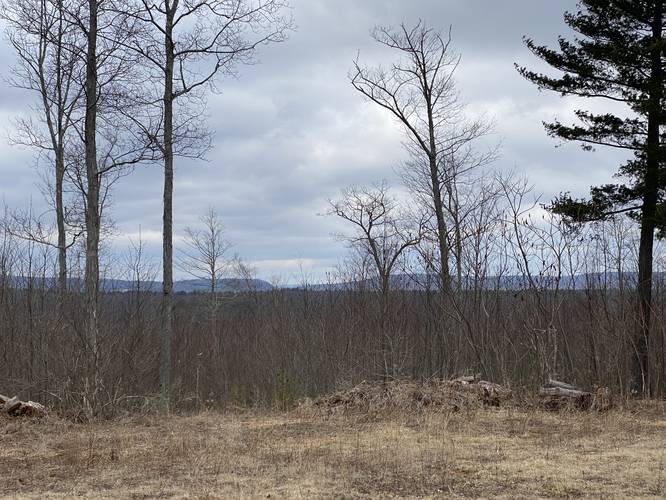 Obstructed view of Lost Hill from "summit" of Hickory Ridge