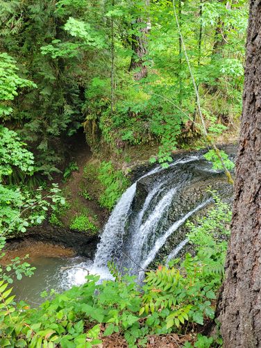 Picture 2 of Hidden Falls Damascus 