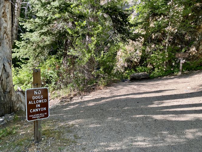 No dogs allowed in the Big Cottonwood Canyon, Wasatch National Forest
