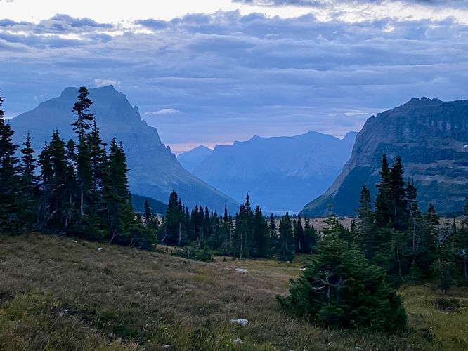 View into Logan Pass from the Hidden Lake Trail