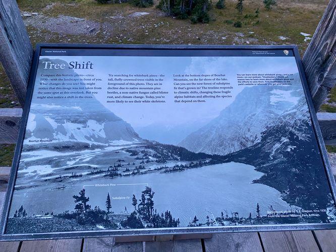 Picture 27 of Hidden Lake Trail to Overlook