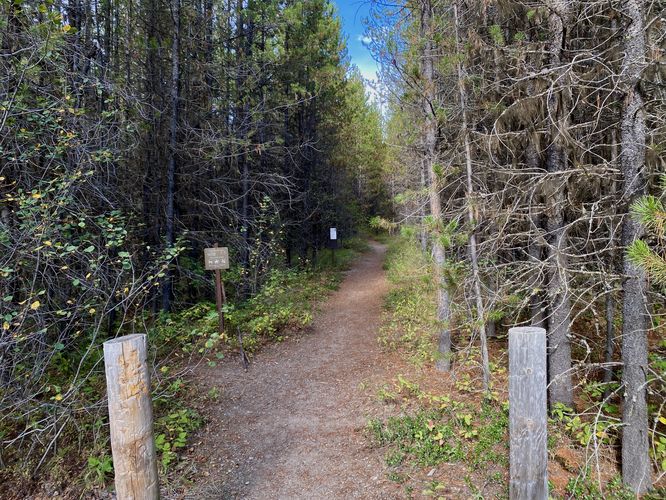 Picture 2 of Hidden Meadow Trail