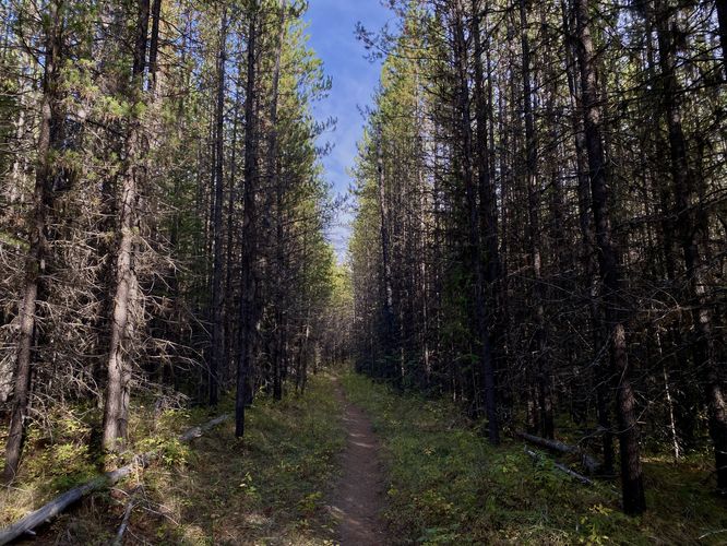 Picture 6 of Hidden Meadow Trail