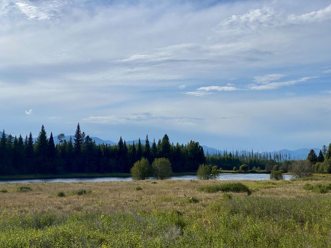 Default image for Hidden Meadow Trail, a 2.5-mile trail in West Glacier, MT (US)