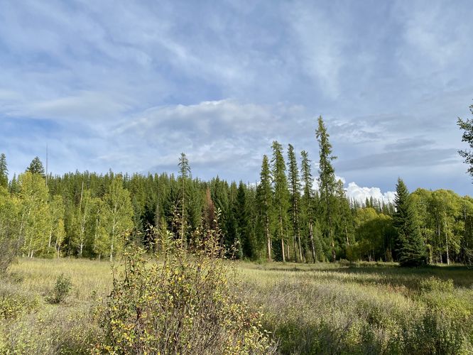 Picture 17 of Hidden Meadow Trail