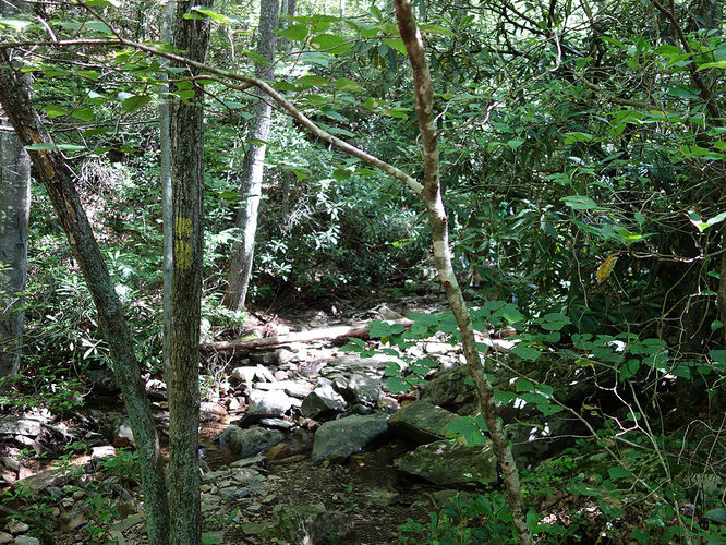 Picture 18 of Hidden Rocks Hike 070216