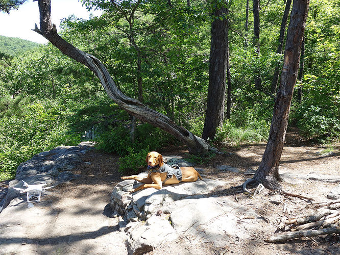 Picture 12 of Hidden Rocks Hike 070216