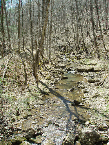 Picture 28 of Hidden Valley Hike 041605