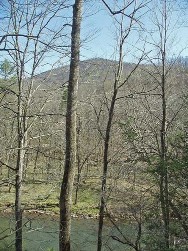 Picture 7 of Hidden Valley Hike 041605