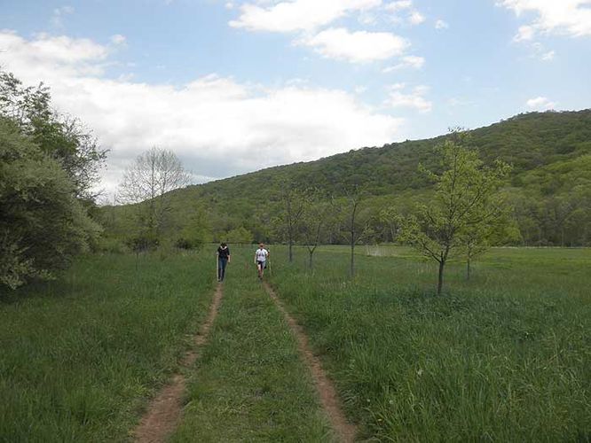 Picture 6 of Hidden Valley Hike 050711
