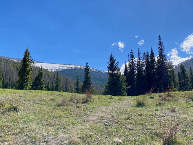View of mountains above (Tombstone Ridge) Hidden Valley