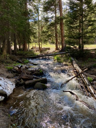 Small cascades in the creek