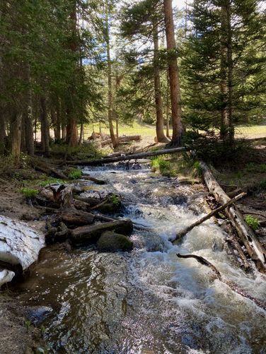 Small cascades in Hidden Valley Creek