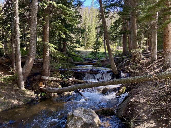 Small cascade in Hidden Valley Creek