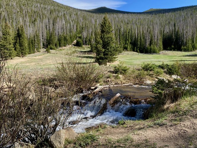 Small cascades in Hidden Valley Creek