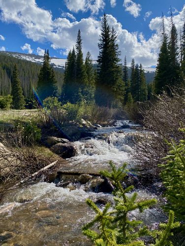 View of Hidden Valley Creek