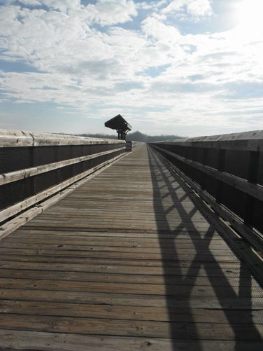 Picture 10 of High Bridge Hike 121215