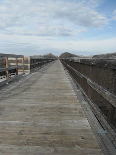 Picture 12 of High Bridge Hike 121215