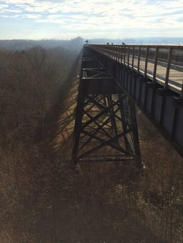 Picture 19 of High Bridge Hike 121215