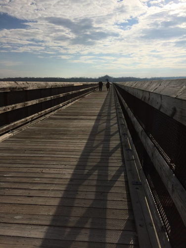Picture 21 of High Bridge Hike 121215