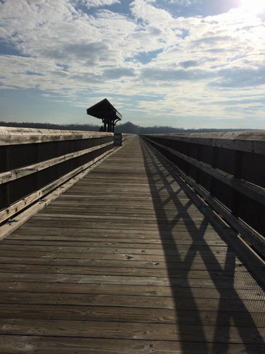Picture 22 of High Bridge Hike 121215