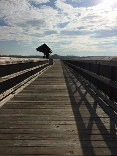 Picture 23 of High Bridge Hike 121215