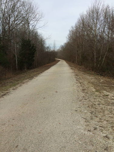 Picture 30 of High Bridge Hike 121215