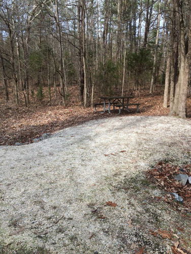 Picture 33 of High Bridge Hike 121215