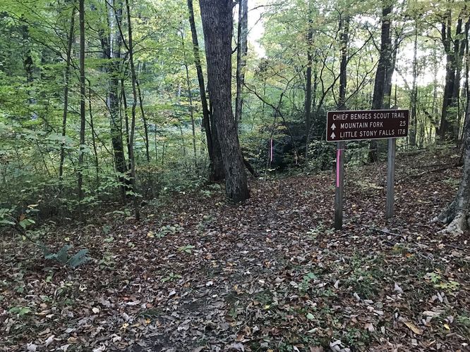 Picture 13 of High Knob Peak and Chief Benge Scout Trail 102021