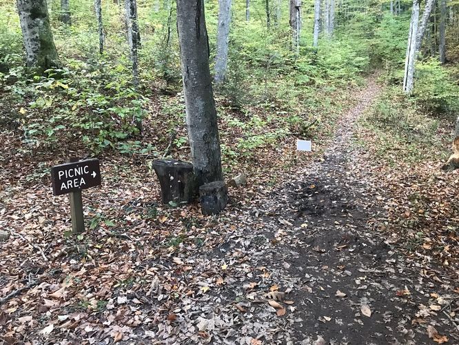 Picture 16 of High Knob Peak and Chief Benge Scout Trail 102021