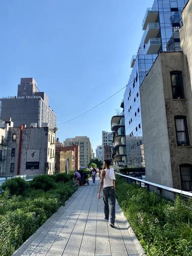 Picture 3 of High Line