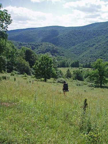 Picture 16 of High Meadows and Seneca Creek Hike 080506