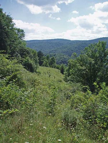Picture 17 of High Meadows and Seneca Creek Hike 080506