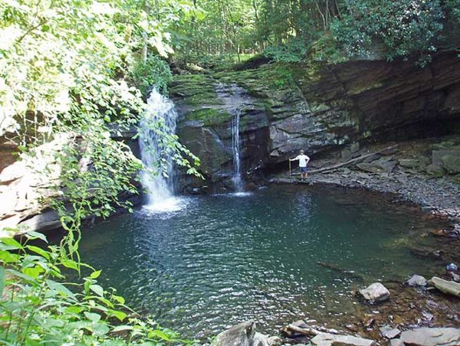 Default image for High Meadows and Seneca Creek Hike, a 13.2-mile trail in Circleville, WV (US)