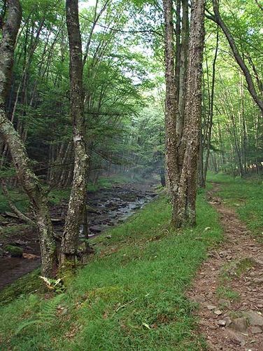 Picture 24 of High Meadows and Seneca Creek Hike 080506