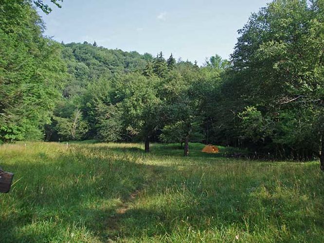 Picture 26 of High Meadows and Seneca Creek Hike 080506