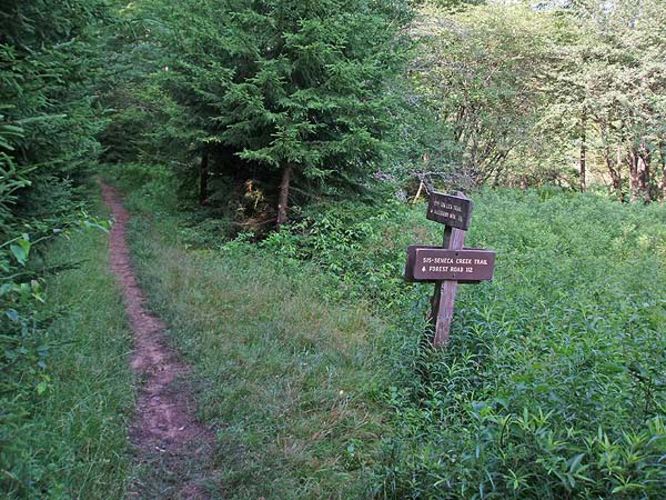 Picture 32 of High Meadows and Seneca Creek Hike 080506