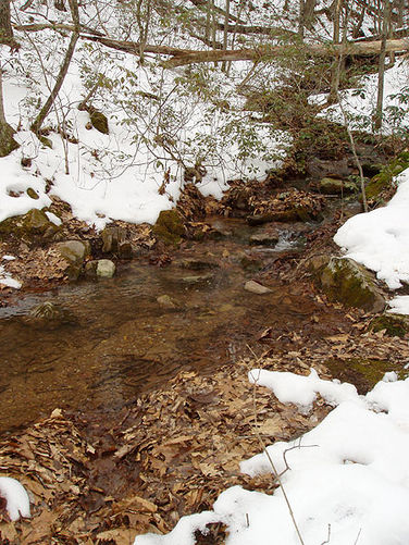 Picture 6 of High Peak Hike 021404