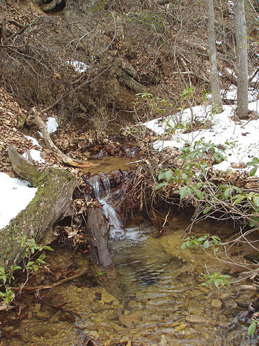 Picture 8 of High Peak Hike 021404
