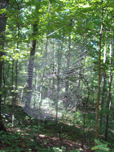 Picture 20 of High Peak Hike 082303