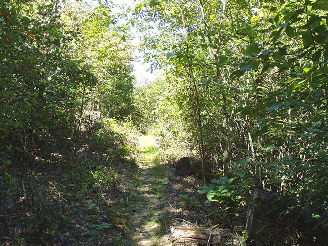 Picture 17 of High Peak Hike 082303