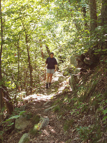 Picture 9 of High Peak Hike 082303
