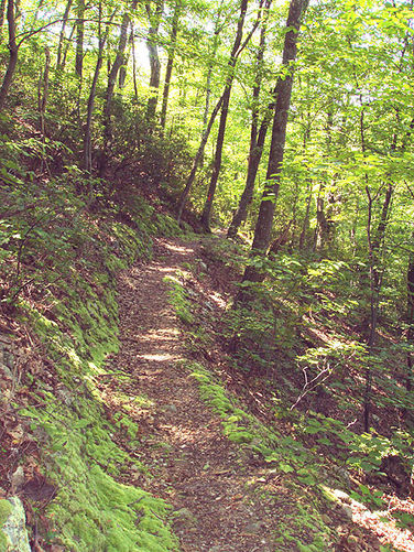 Picture 6 of High Peak Hike 082303