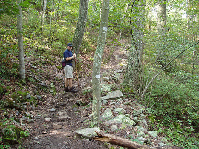 Picture 12 of High Peak Hike 083003